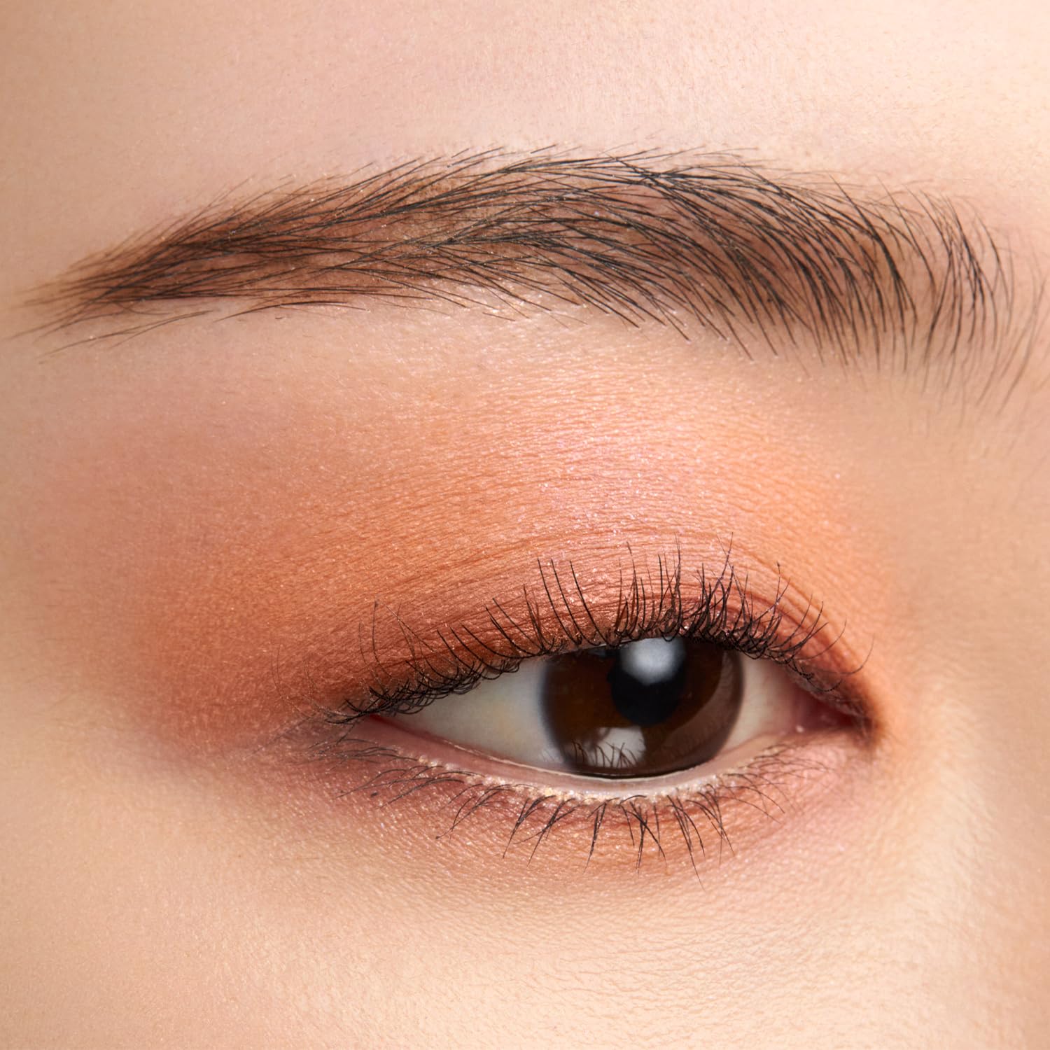 Amazon.co.jp: SUQQU シグニチャー カラーアイズ 147 陽影-HARUKAGE